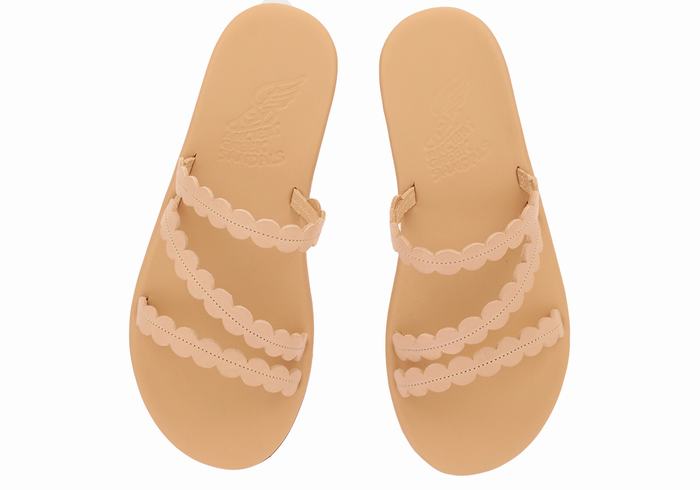 Sandales à Glissière Ancient Greek Sandals Oceanis   | ZFW-3397279